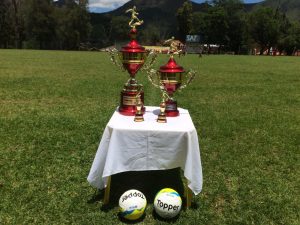 239b98a0-e7d5-42db-88a3-394fb5de75e1